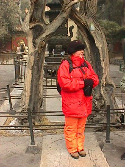 kina043.jpg   52,2K   