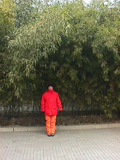 kina046.jpg   53,1K   
